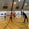 Adult Light Volleyball - Image 3
