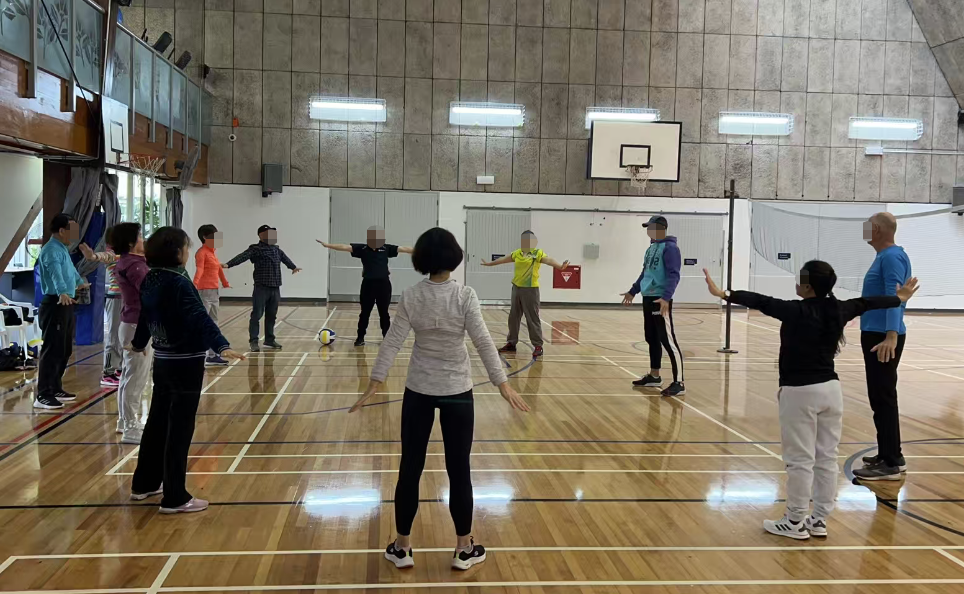 Adult Light Volleyball - Image 4
