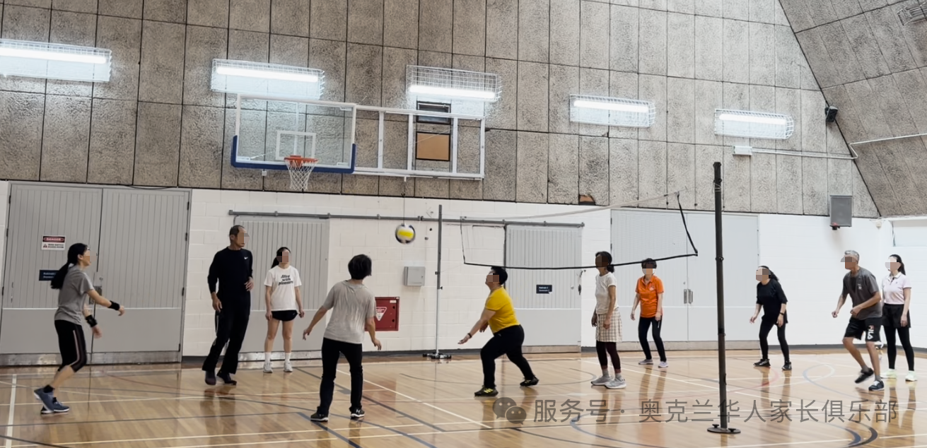 Adult Light Volleyball - Image 4