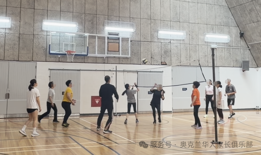 Adult Light Volleyball - Image 2